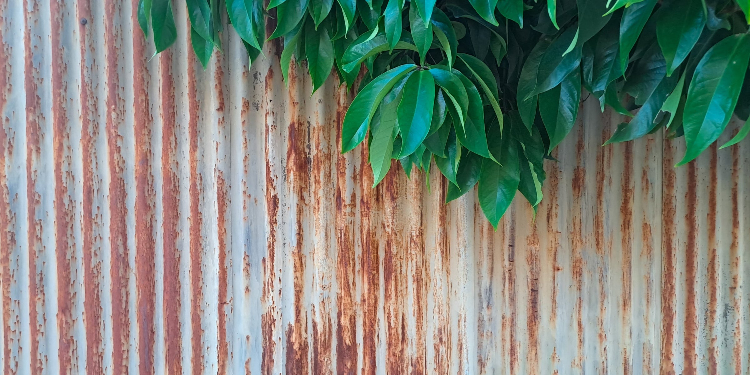 Galvanised Paint Collection