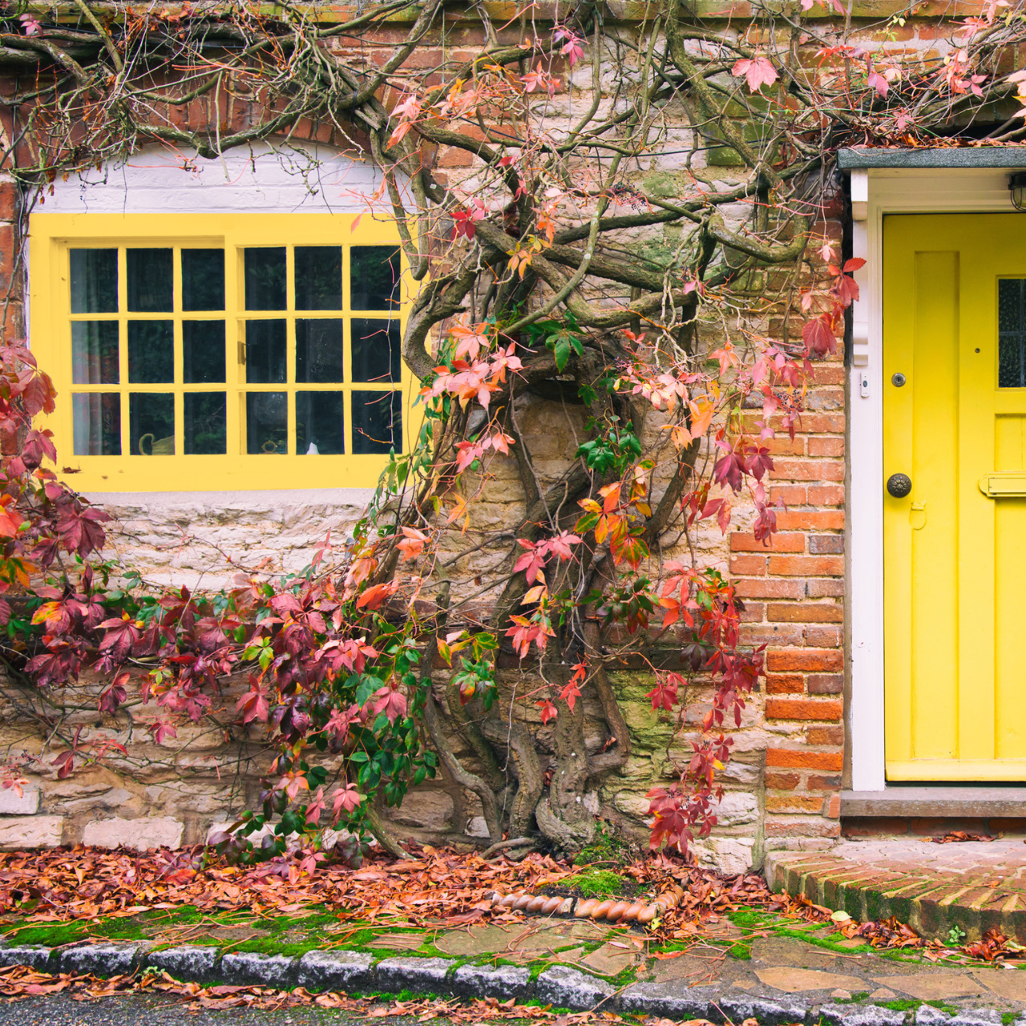 Trim, Doors & Windows Collection