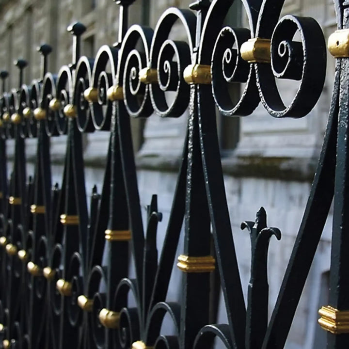 Close-up of a black metal fence with gold accents