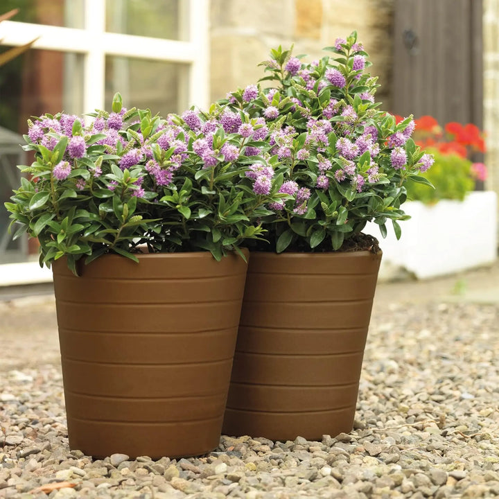 2 planters on a patio