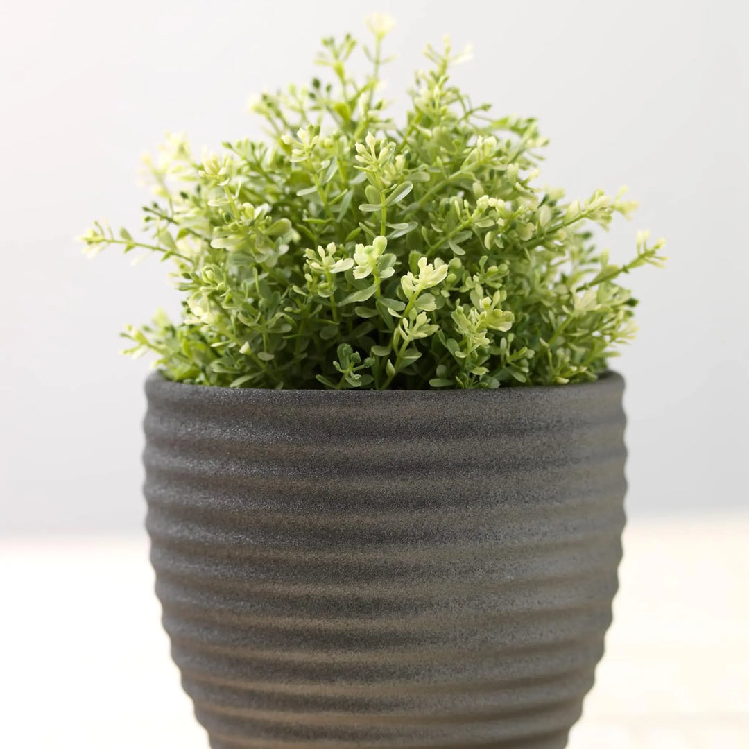 Plant pot on a white background