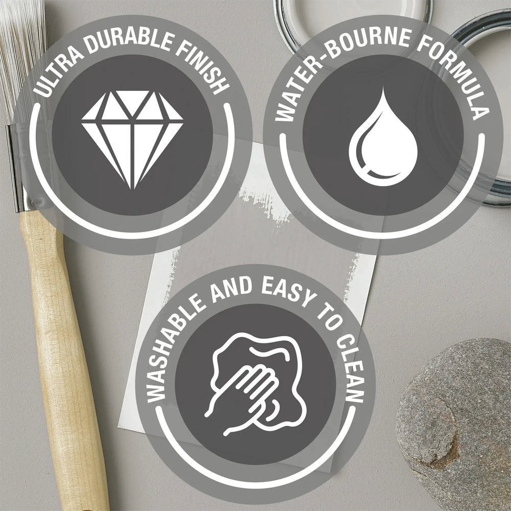 Rust-Oleum Wall Paint information