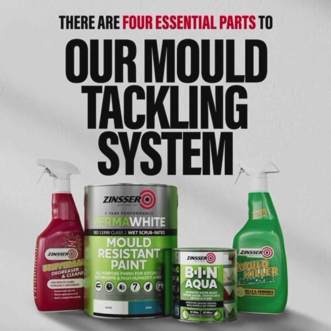 Mould Away Kit - Zinsser
